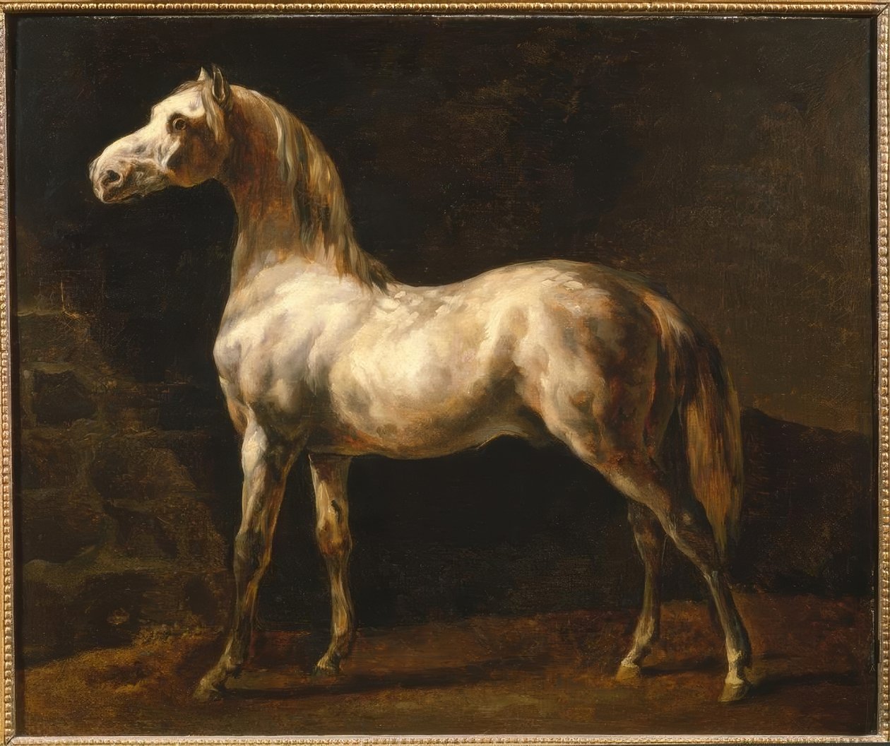 The White Stallion by Theodore Gericault