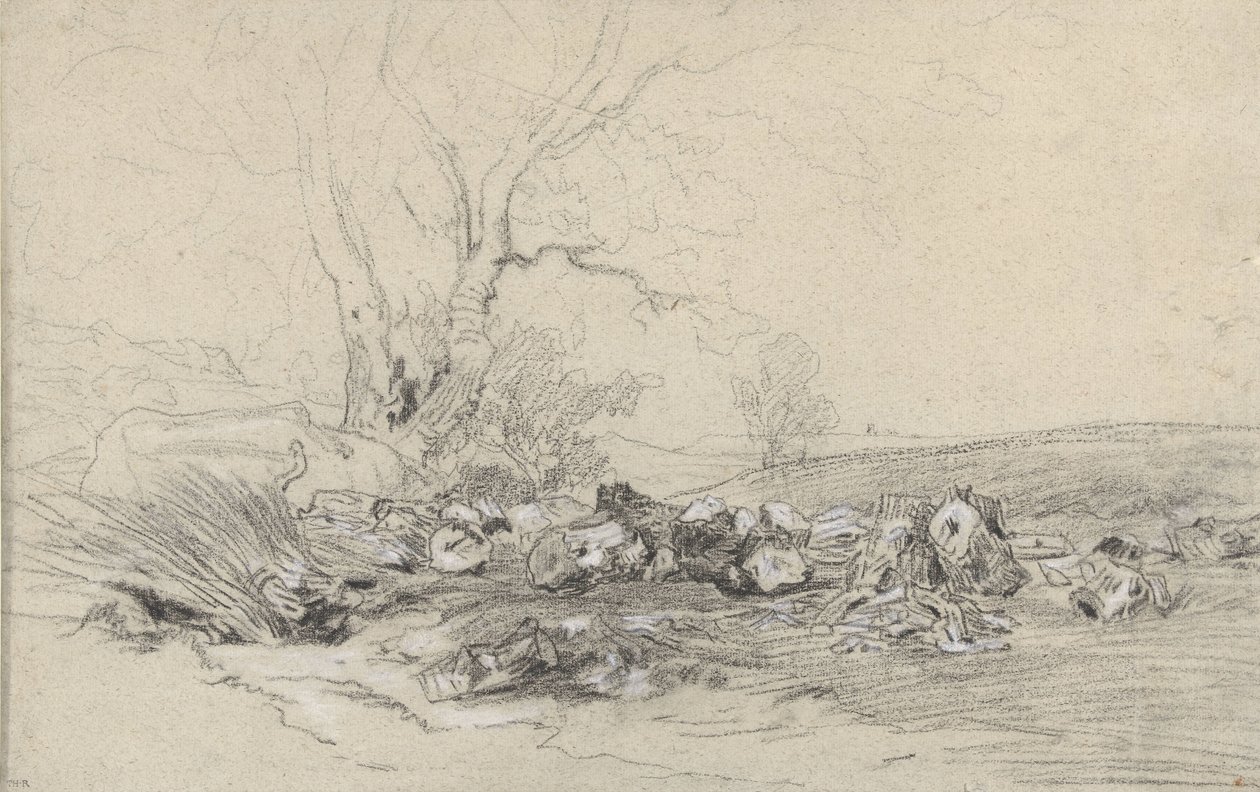 Chopped Down Trees by Theodore Rousseau
