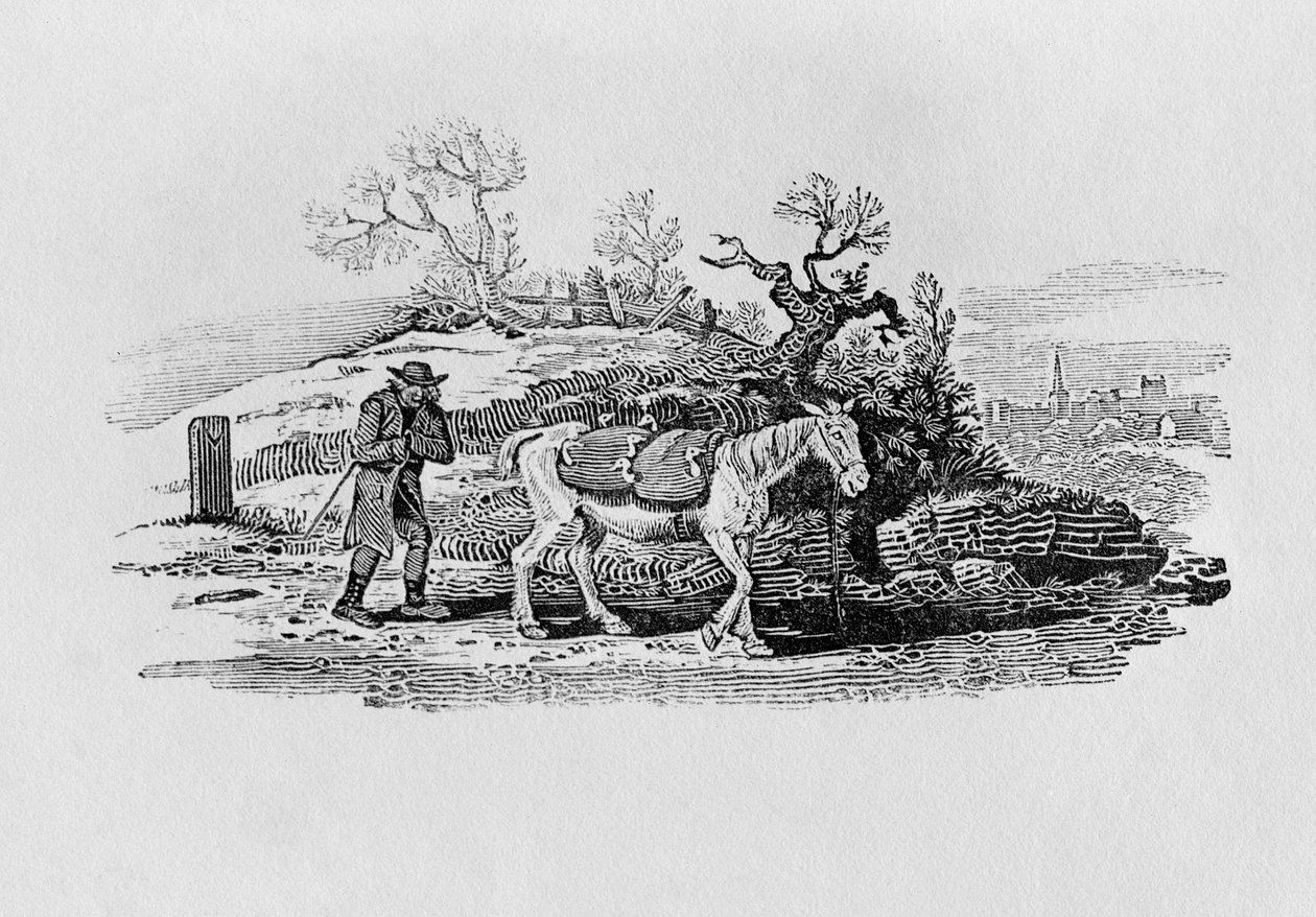 Geese Carried to Market from 