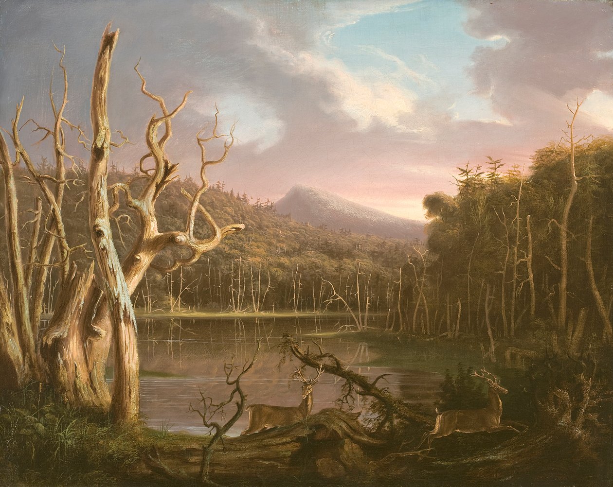 Lake with Dead Trees (Catskill) by Thomas Cole