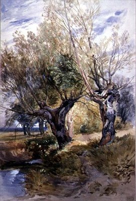 Pollards in Windsor Meadows by Thomas Collier