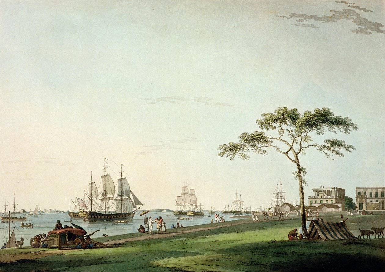 View Taken on the Esplanade, Calcutta, plate I from 