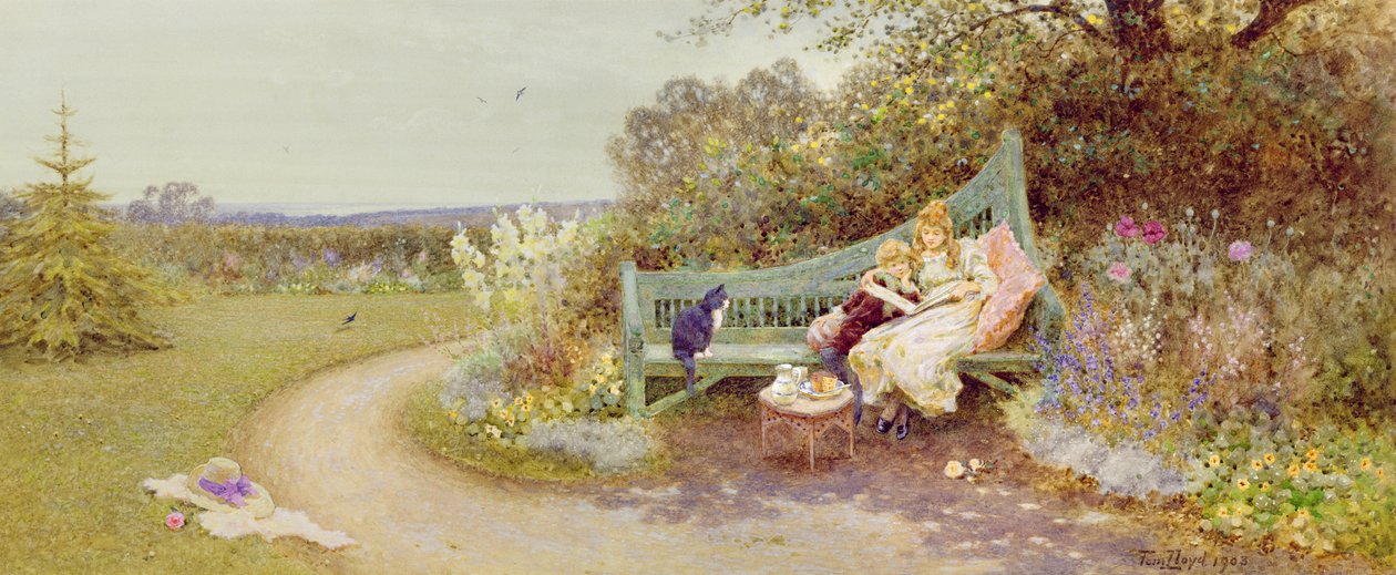 The Picture Book by Thomas James Lloyd