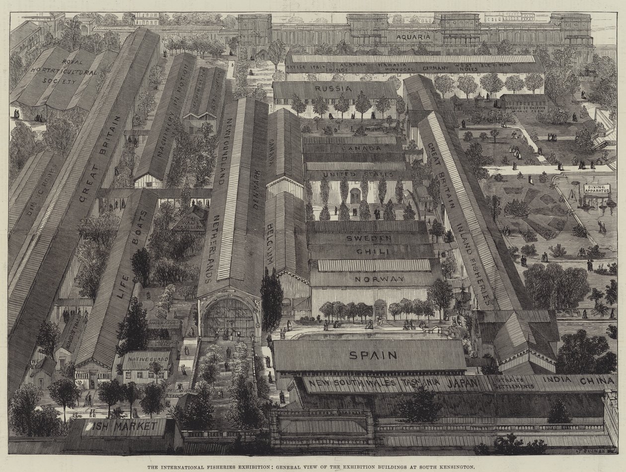 The International Fisheries Exhibition, General View of the Exhibition Buildings at South Kensington by Thomas Sulman