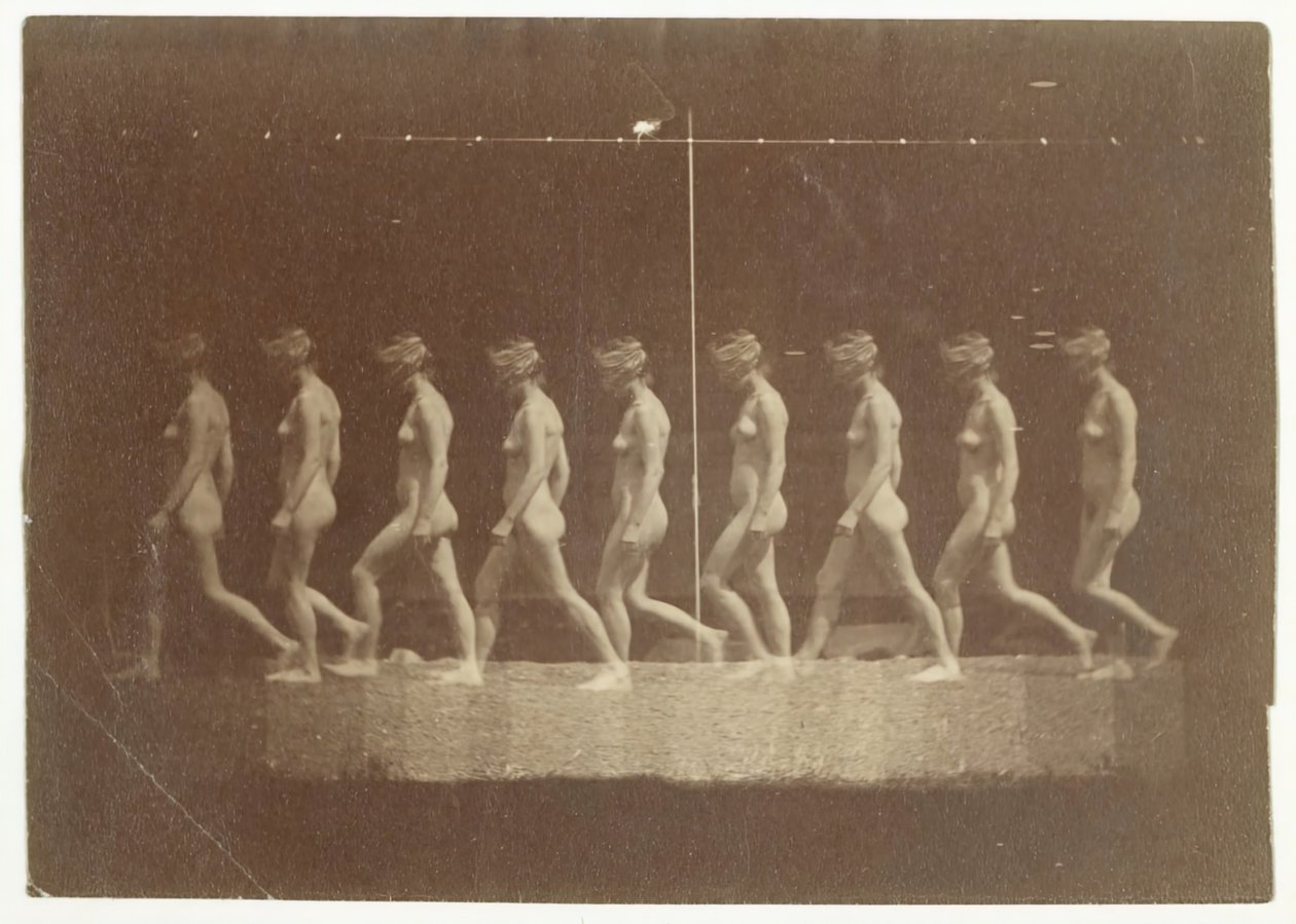 Marey Wheel Photographs of Unidentified Model by Thomas Eakins