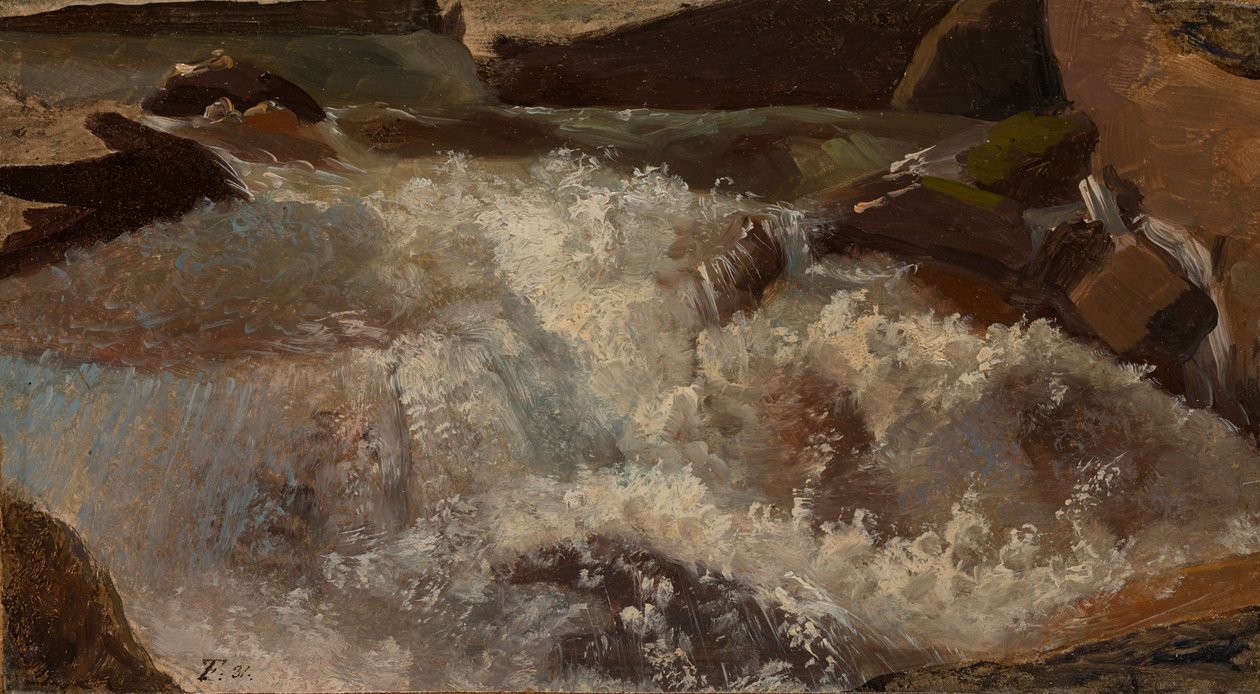 Whitewater. Nature Study by Thomas Fearnley