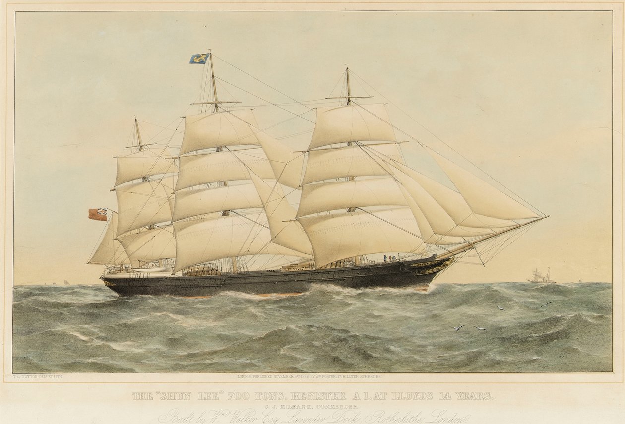 The tea clipper 