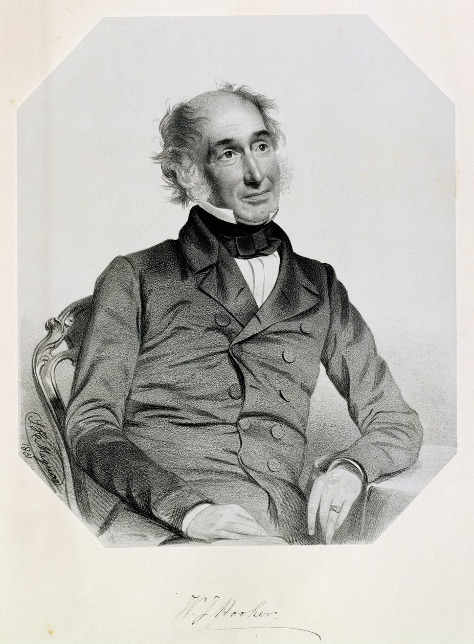 Sir William Jackson Hooker by Thomas Herbert Maguire