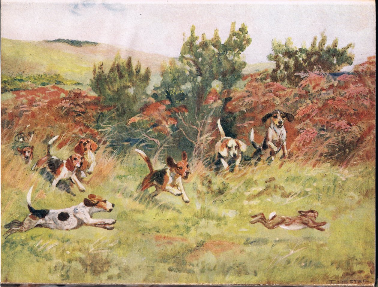 Chasing a Hare, Illustration from 