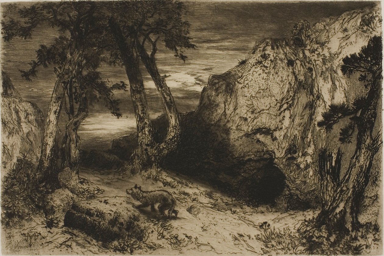 The Coyote - Arizona by Thomas Moran