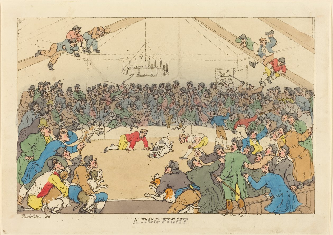 A Dog Fight by Thomas Rowlandson