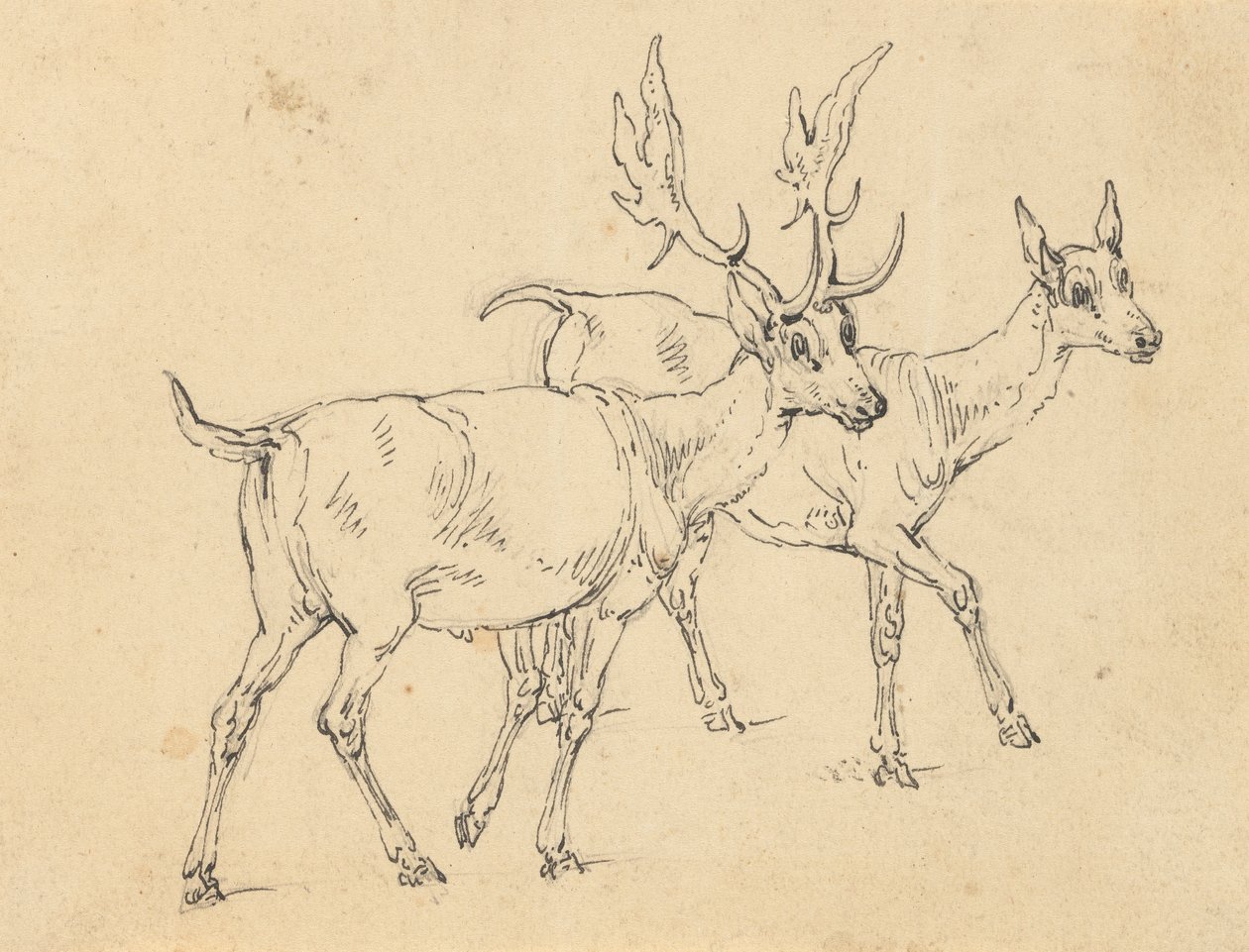 Album Drawing by Thomas Rowlandson