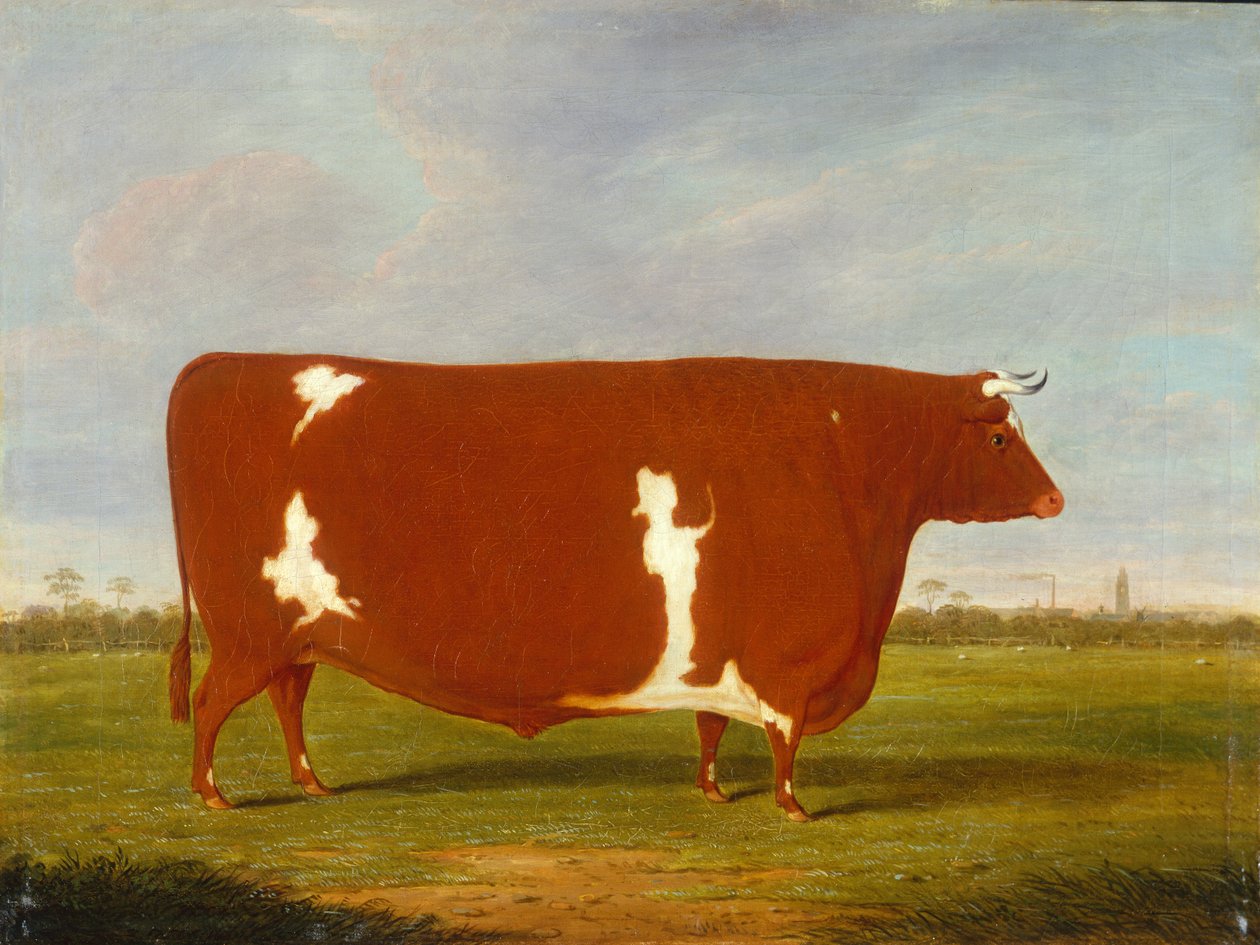 A Prize Bull Standing in a Landscape by Thomas Weaver