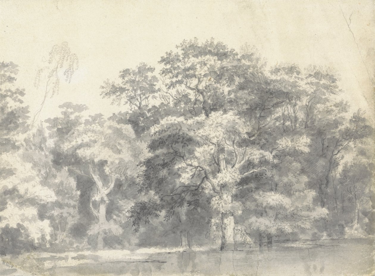 Trees on a River Bank by Thomas Wyck