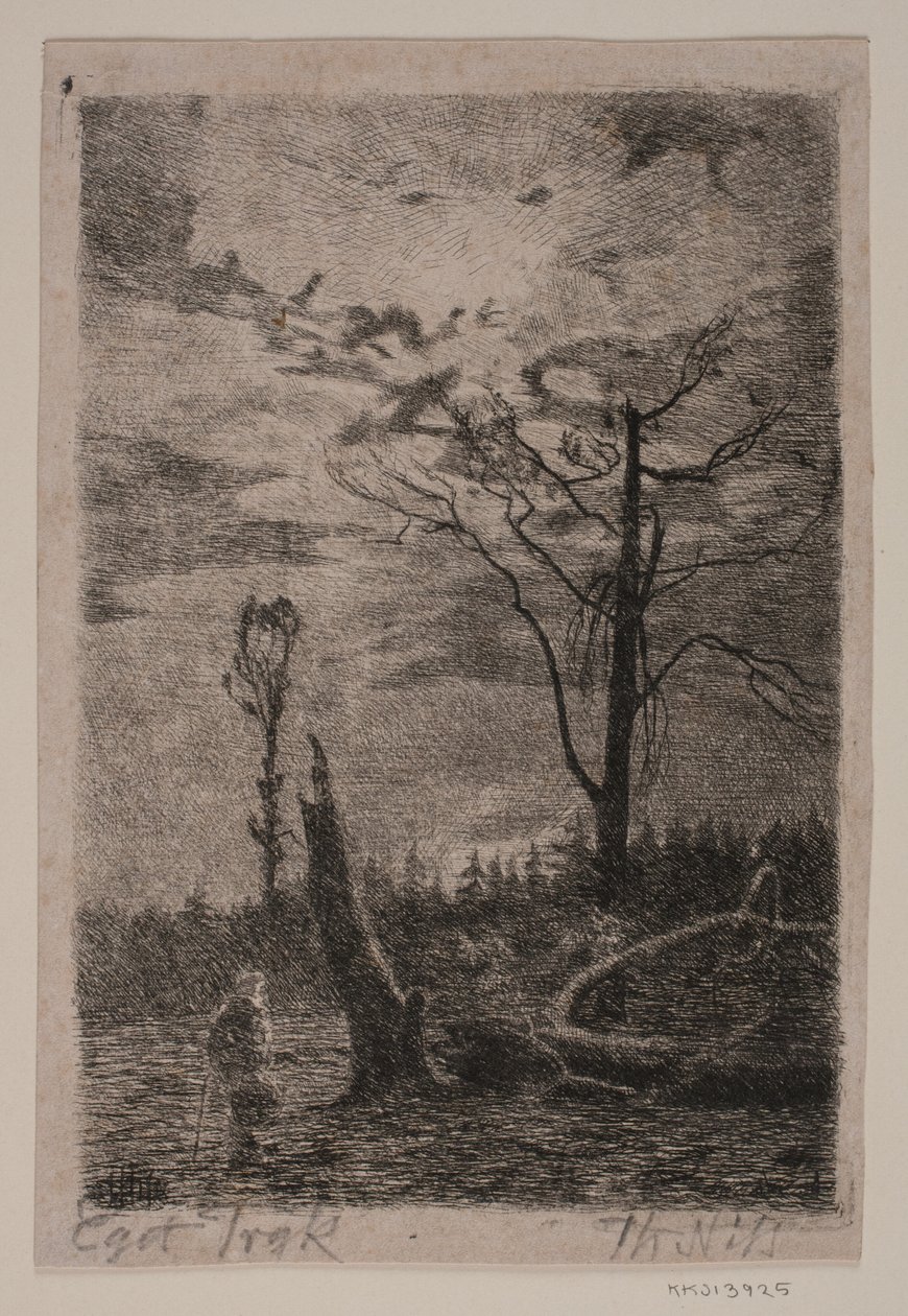 Clearing. Evening by Thorvald Niss
