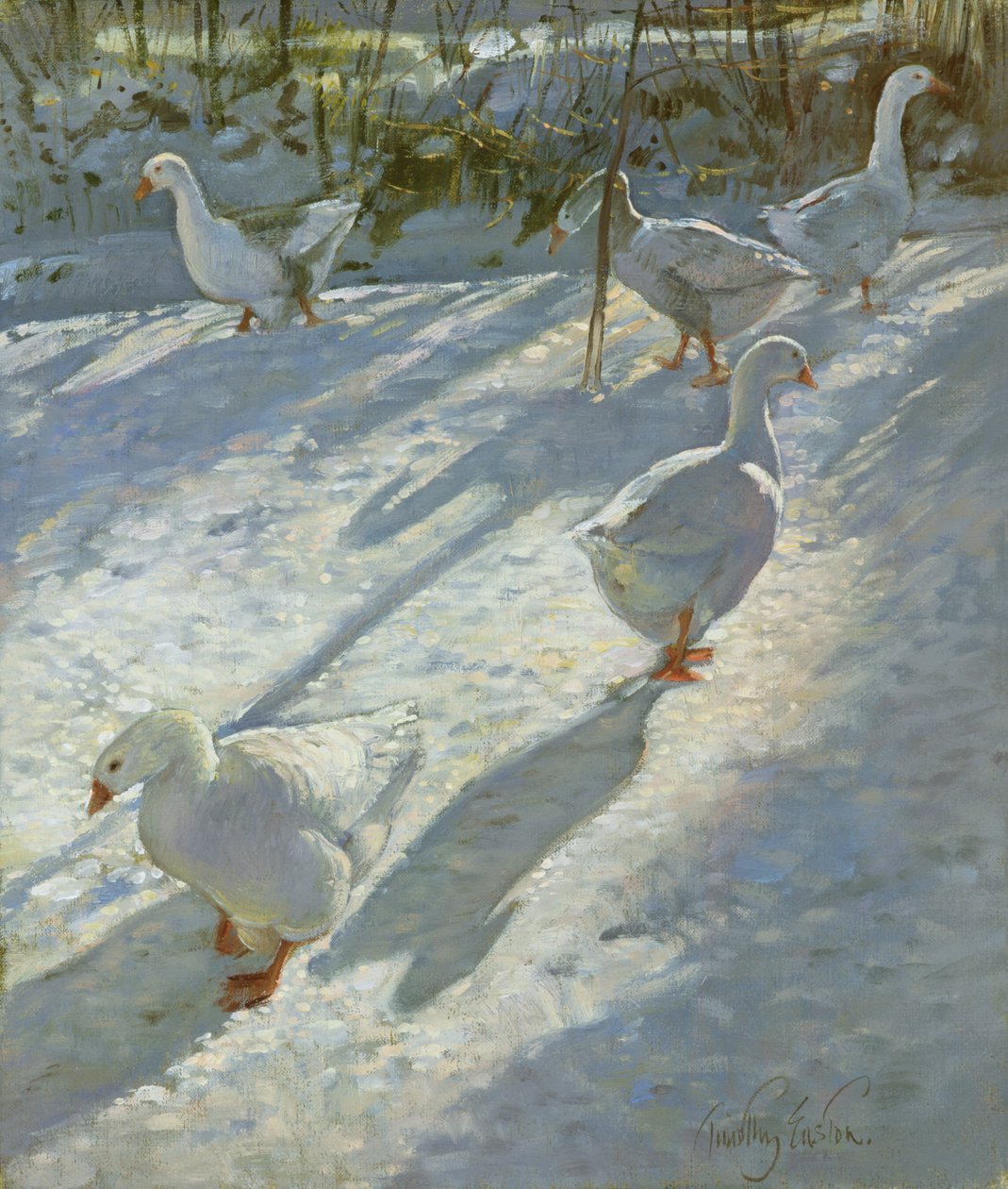 Exploring the Slope by Timothy Easton