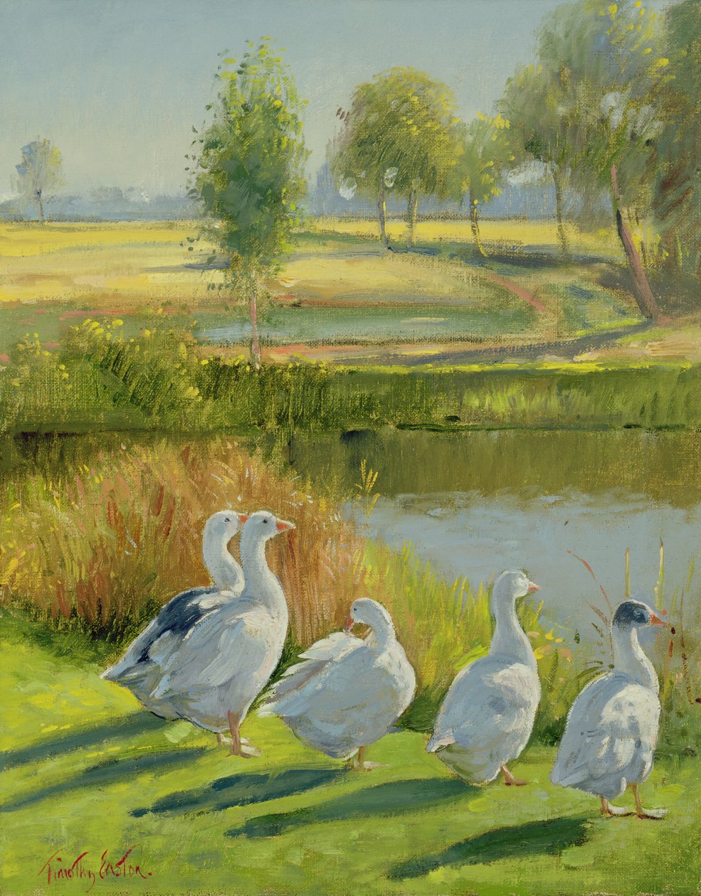 Gooseguard by Timothy Easton