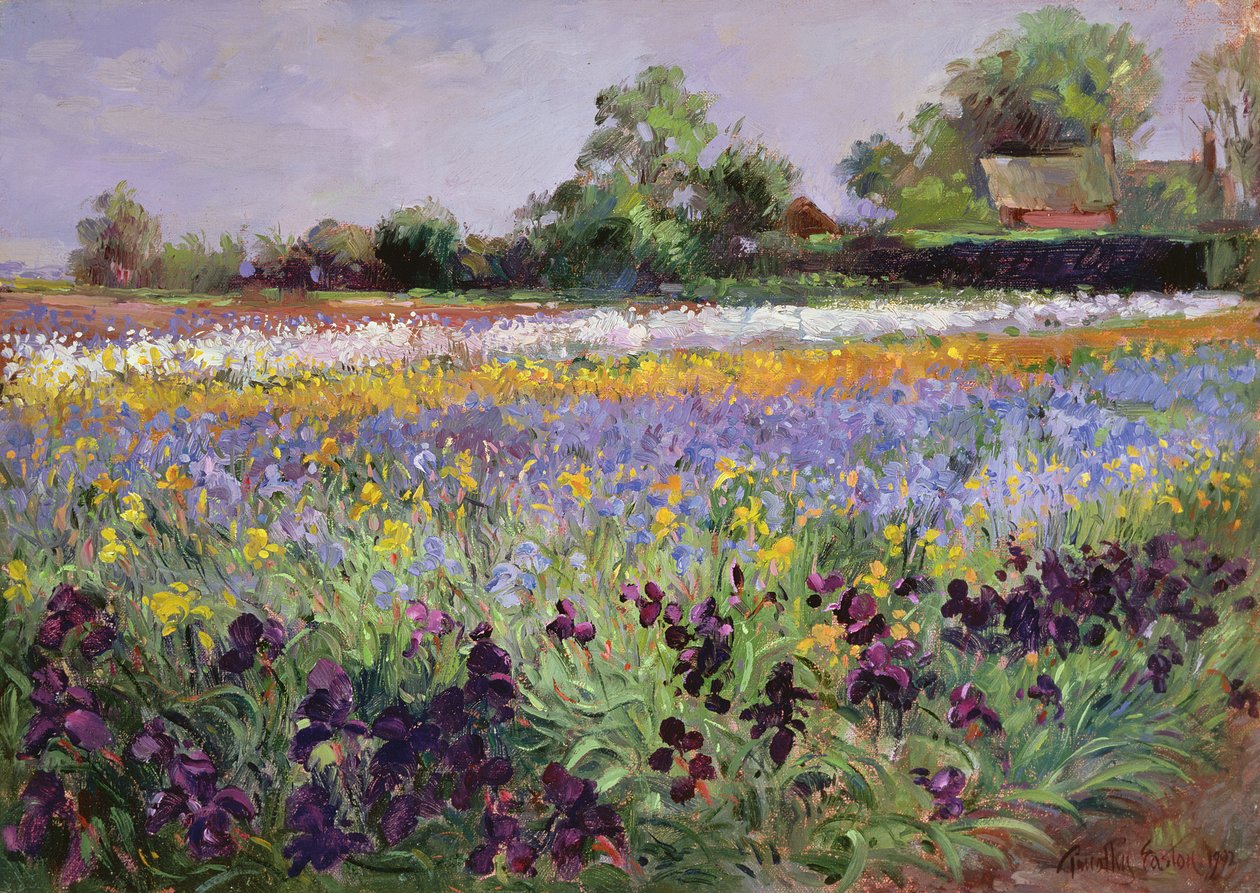 Iris Field and Two Cottages by Timothy Easton