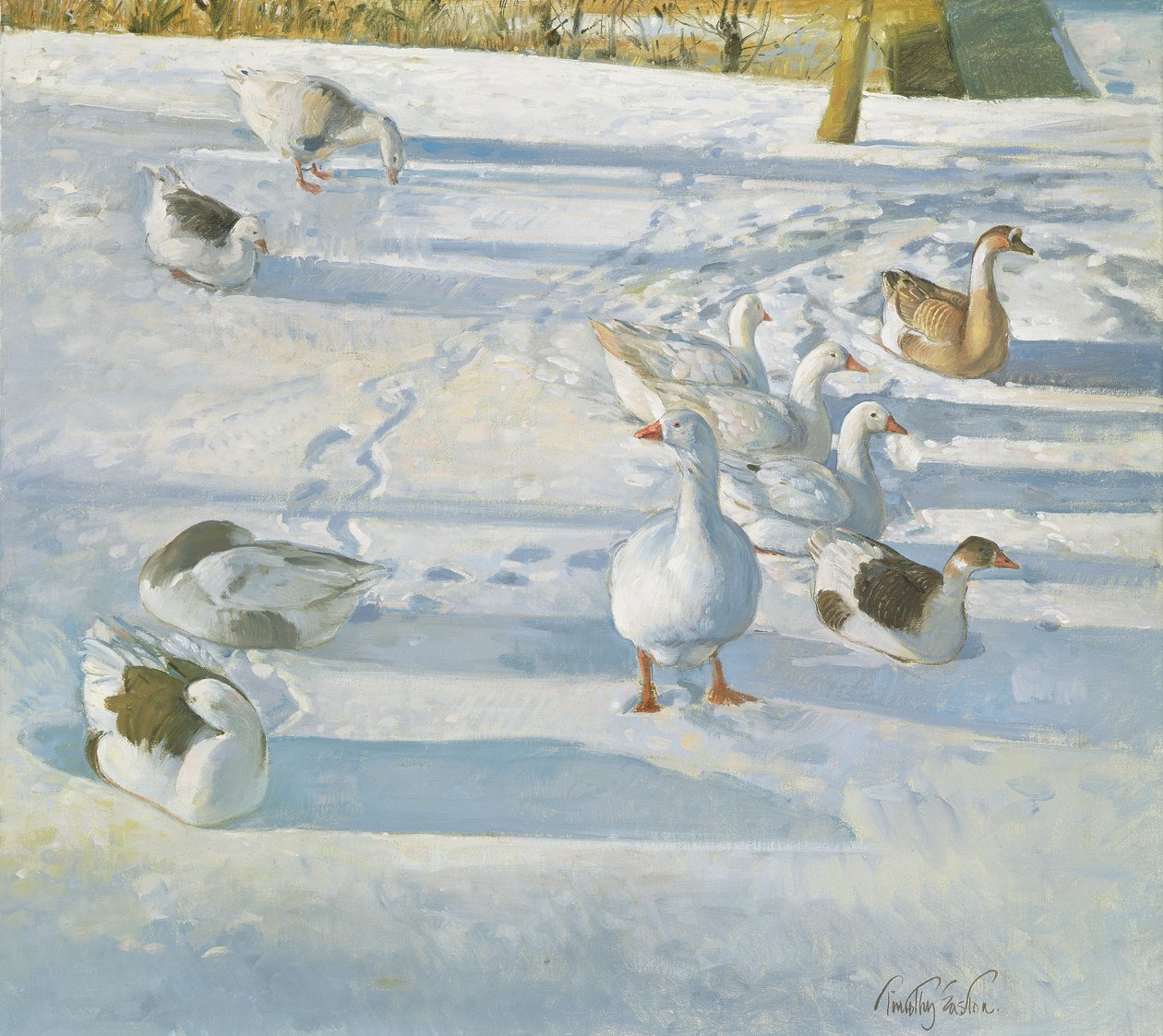 Resting on the Slope by Timothy Easton