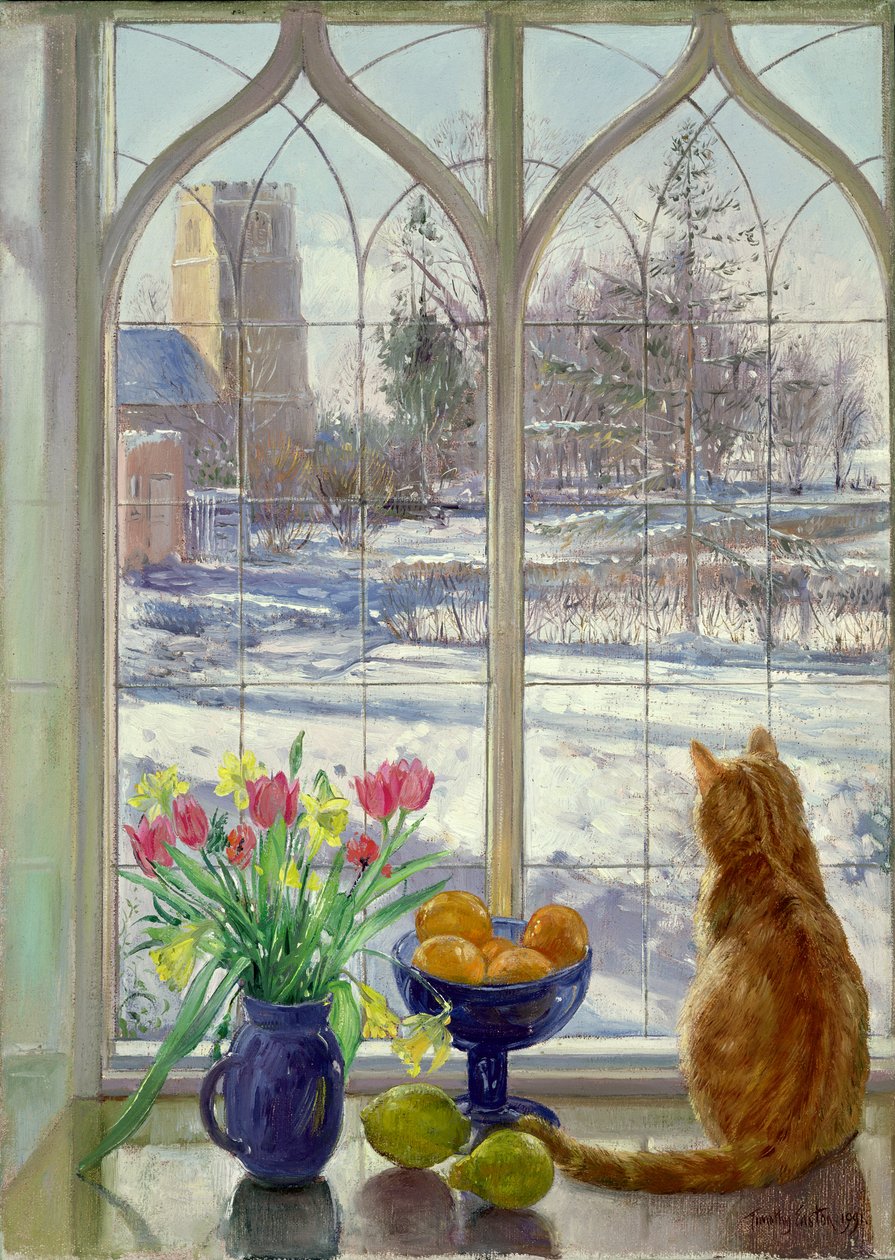 Snow Shadows and Cat by Timothy Easton