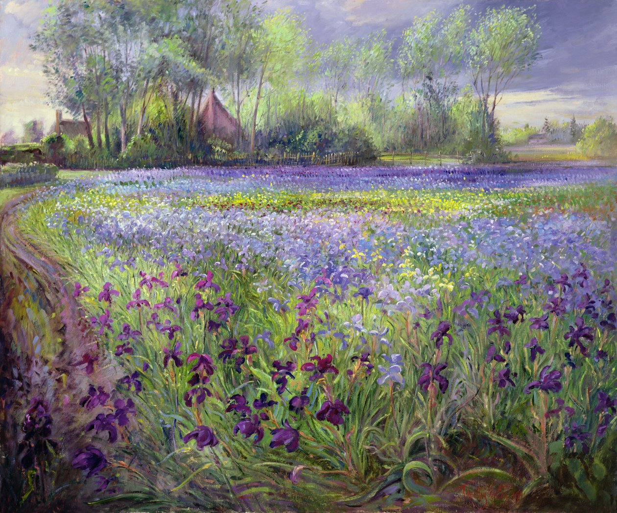 Trackway Past the Iris Field by Timothy Easton