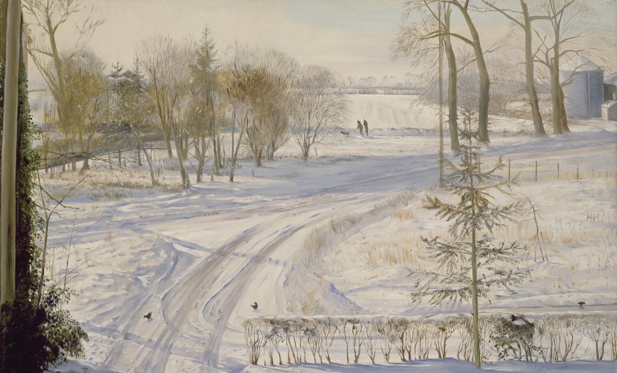Moorhens Searching by Timothy Easton