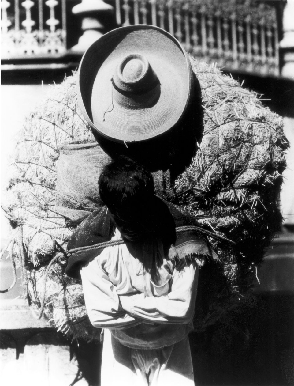 Campesino, State of Veracruz, Mexico, 1927 by Tina Modotti