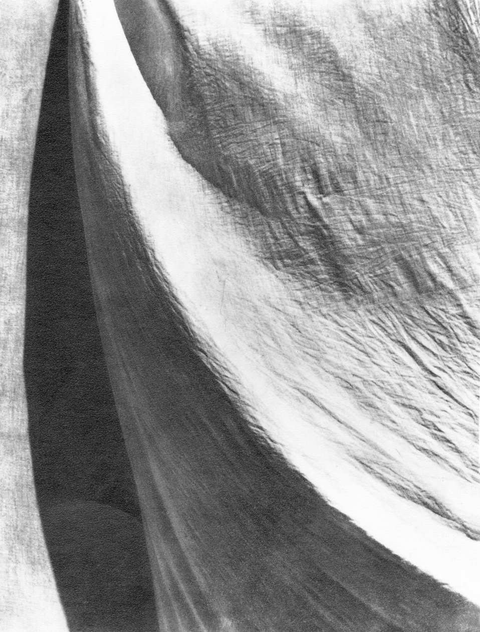 Cloth, Mexico, 1924 by Tina Modotti