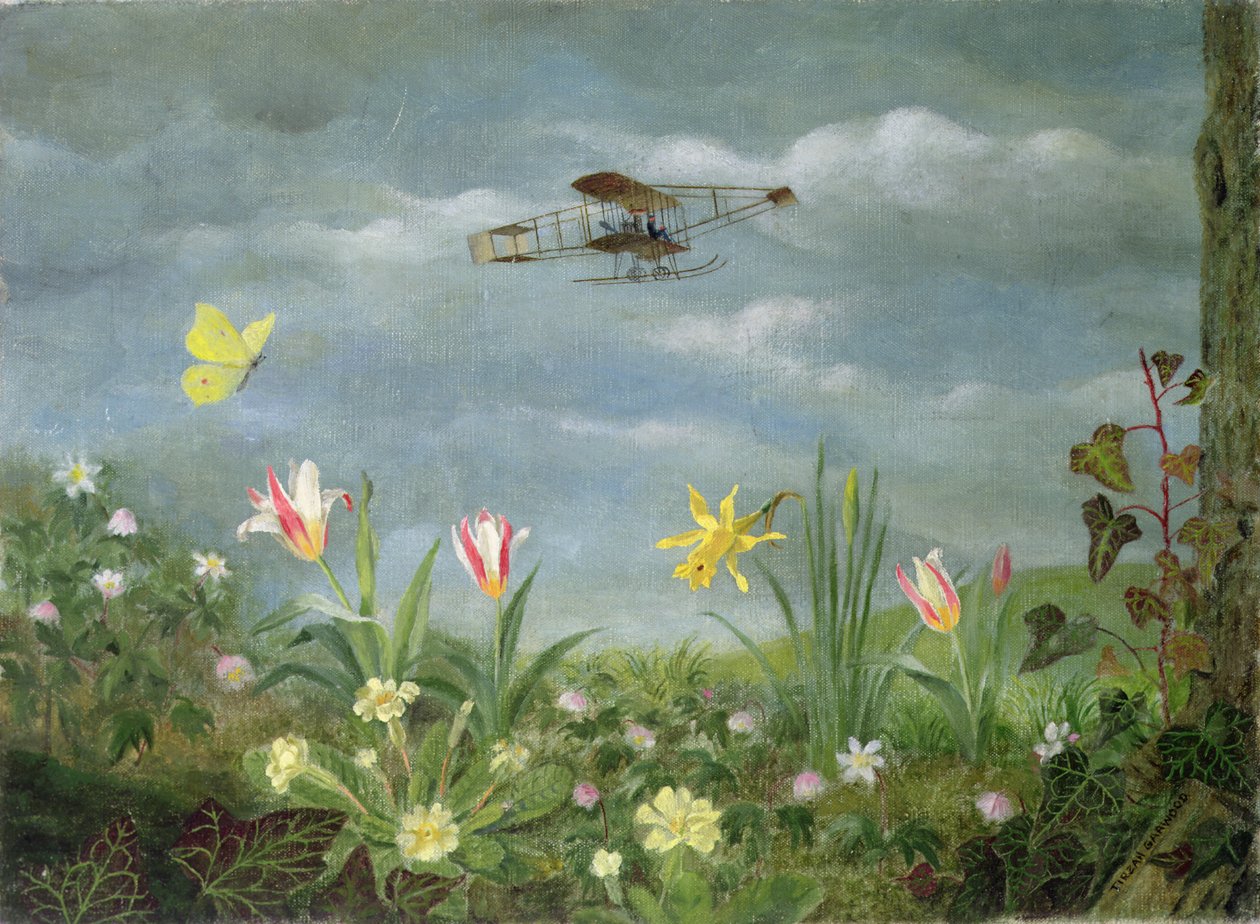 Springtime of Flight by Tirzah Ravilious