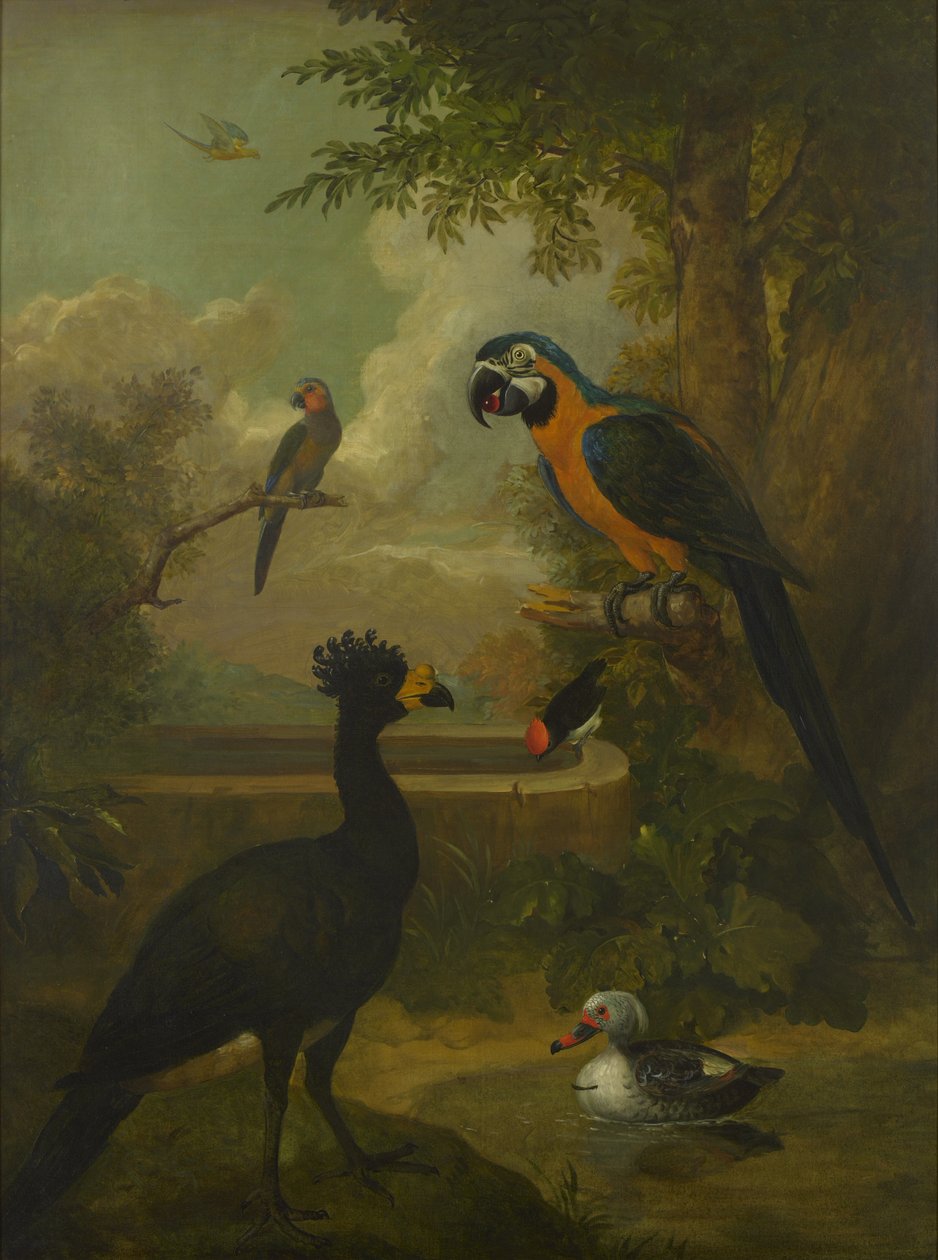 Macaw and Other Birds in a Landscape by Tobias Stranover