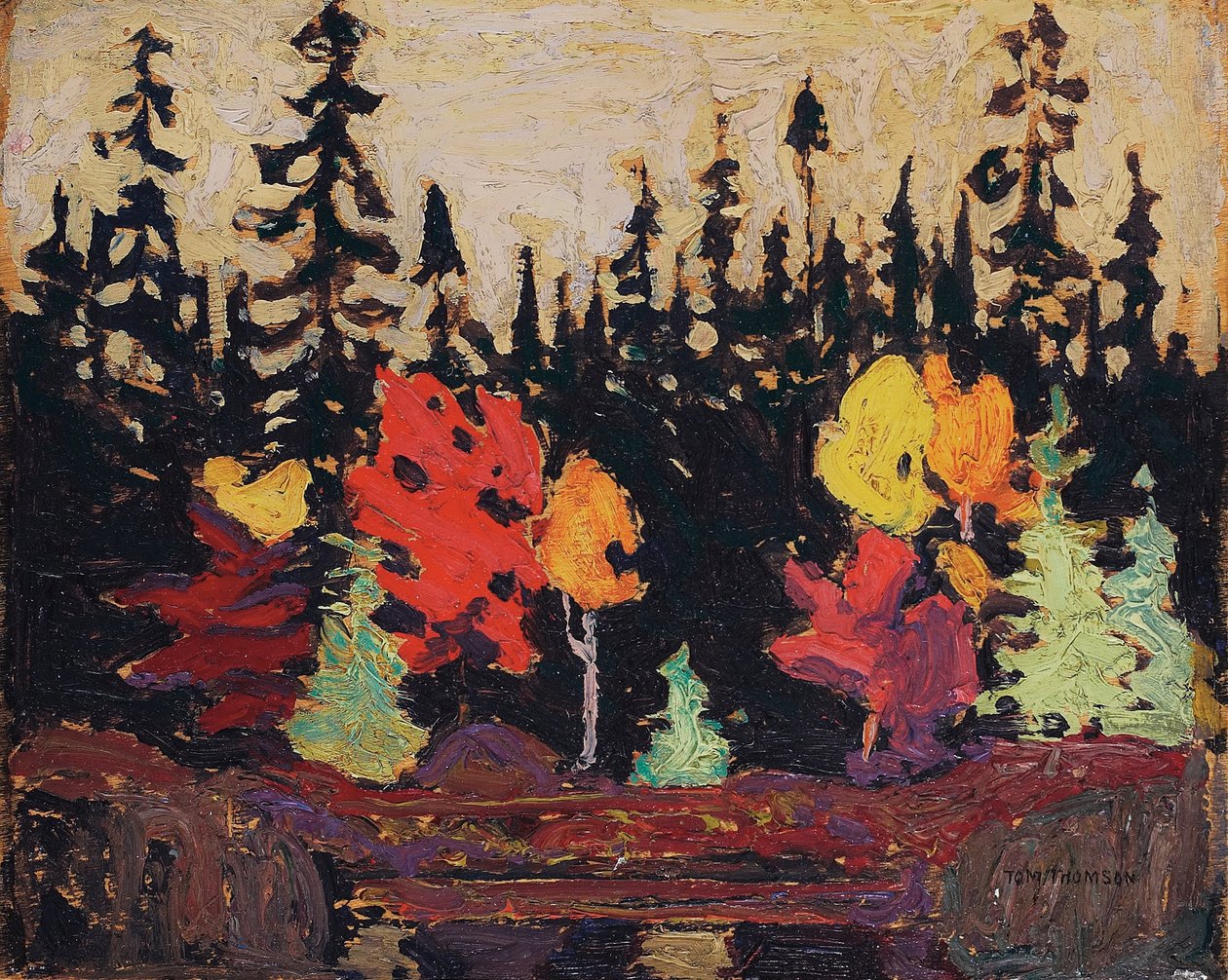 Black Spruce and Maple by Tom Thomson