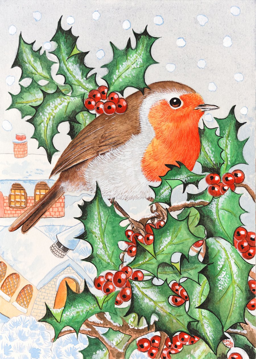 Robin in the Holly by Tony Todd