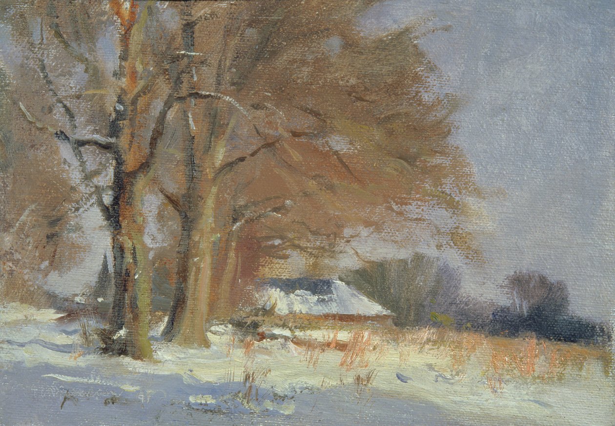 Limes in the Snow by Trevor Chamberlain