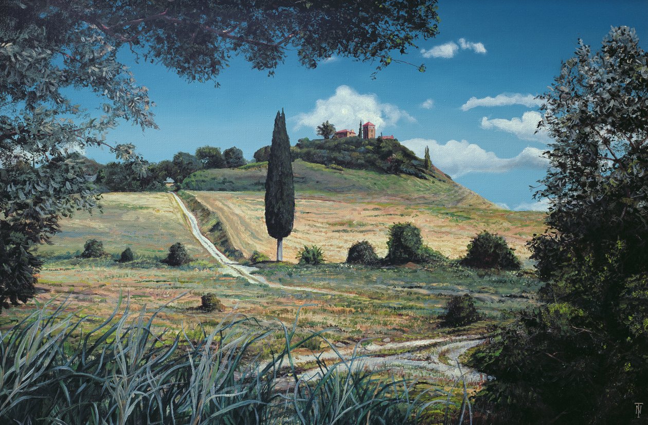 Lollipop Tree, Umbria by Trevor Neal