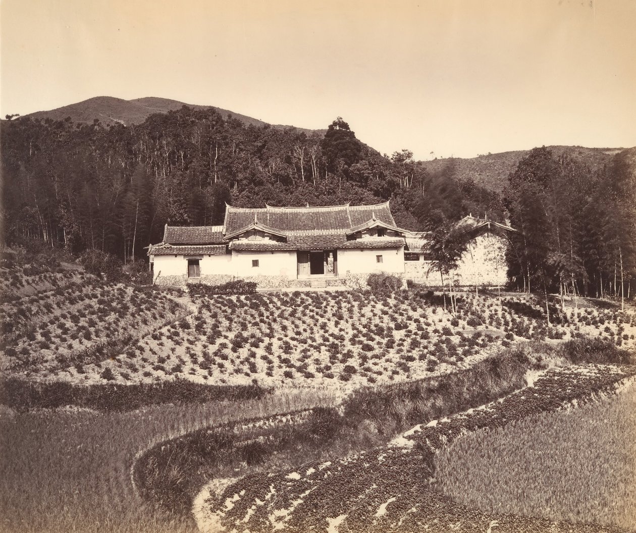 Teafield & Josshouse at Peling, ca. 1869 by Tung Hing.