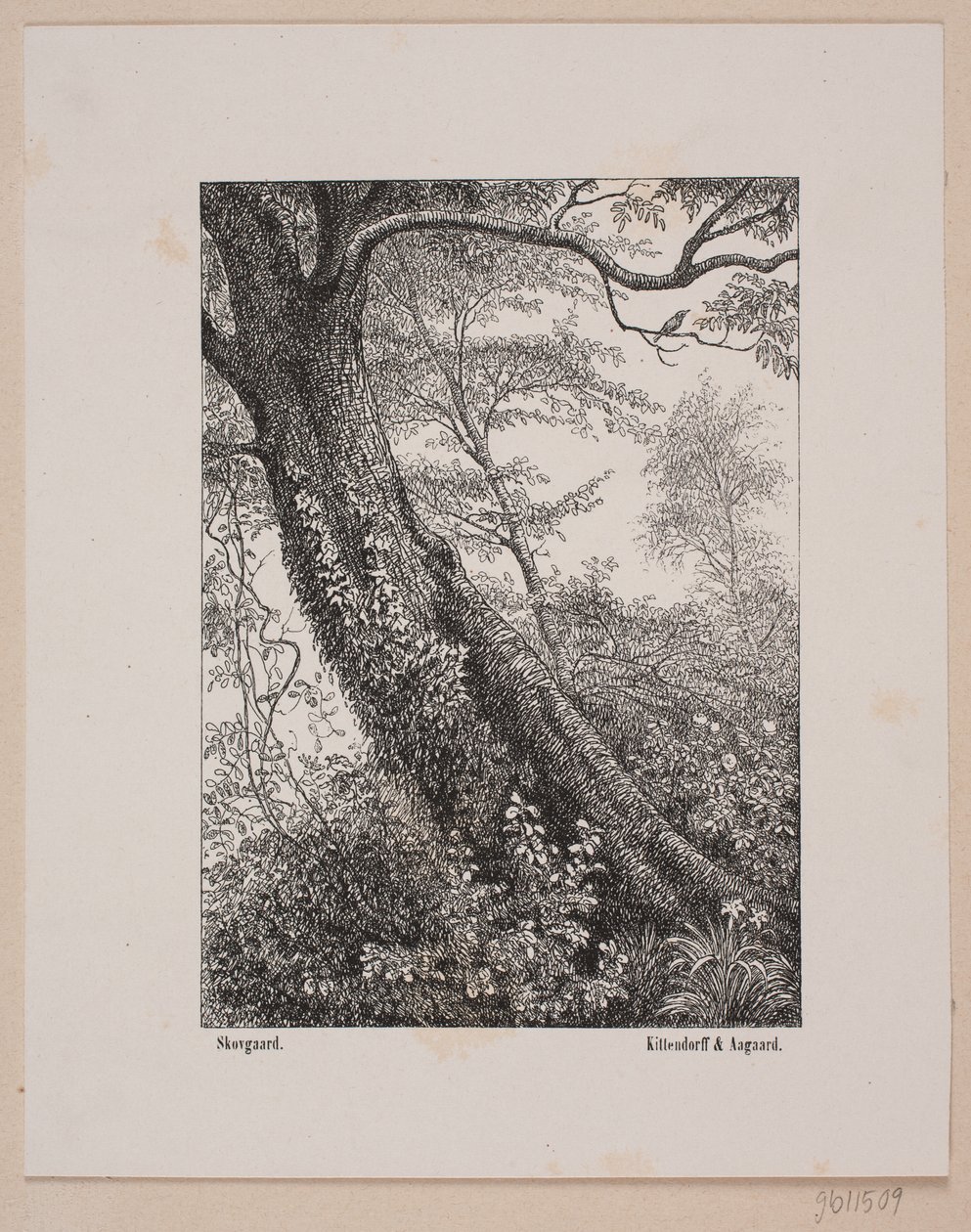 A Tree Trunk by Ubekendt