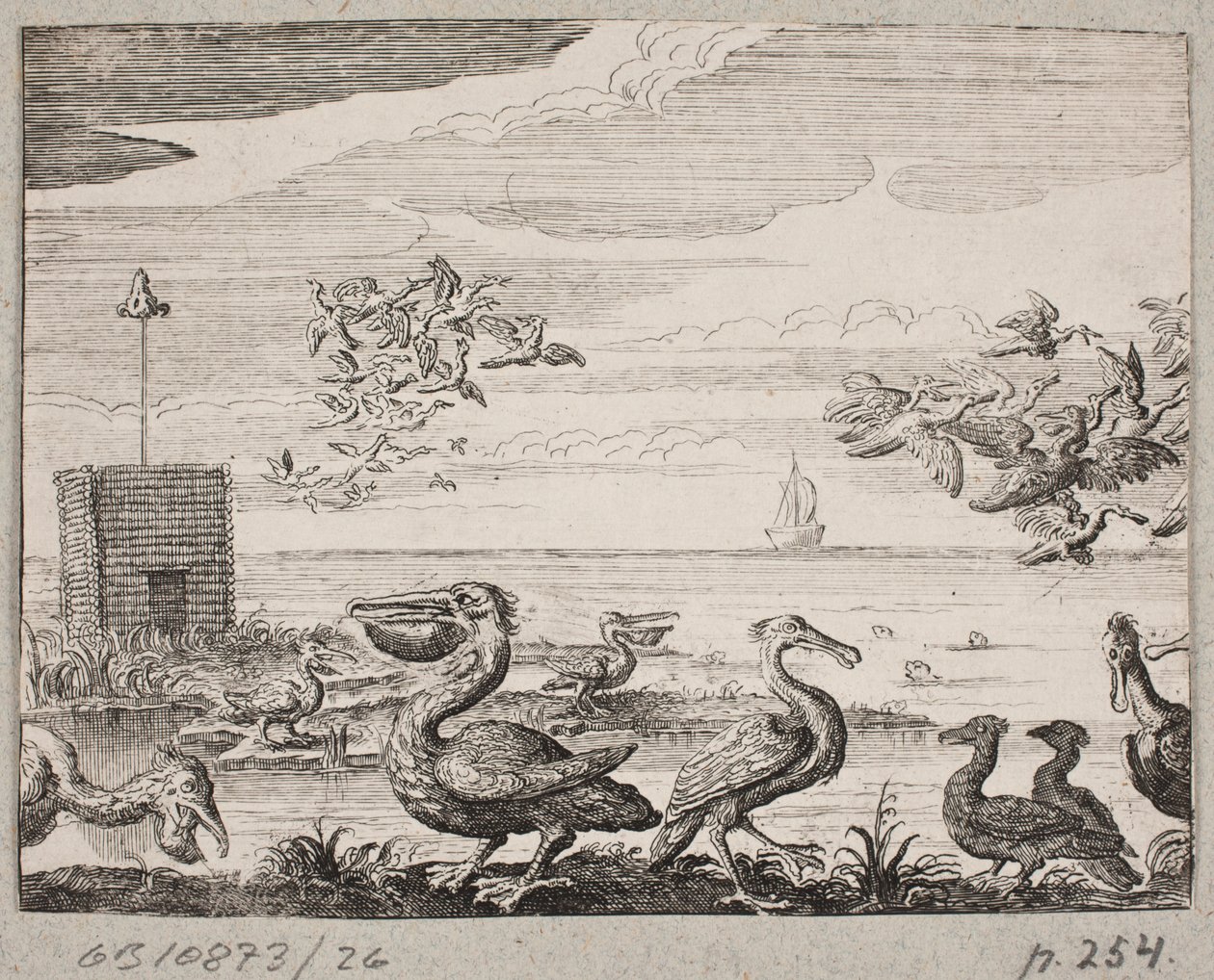 Pelicans by Ubekendt