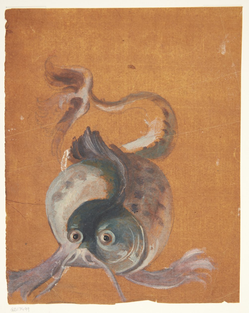 Seal by Ubekendt
