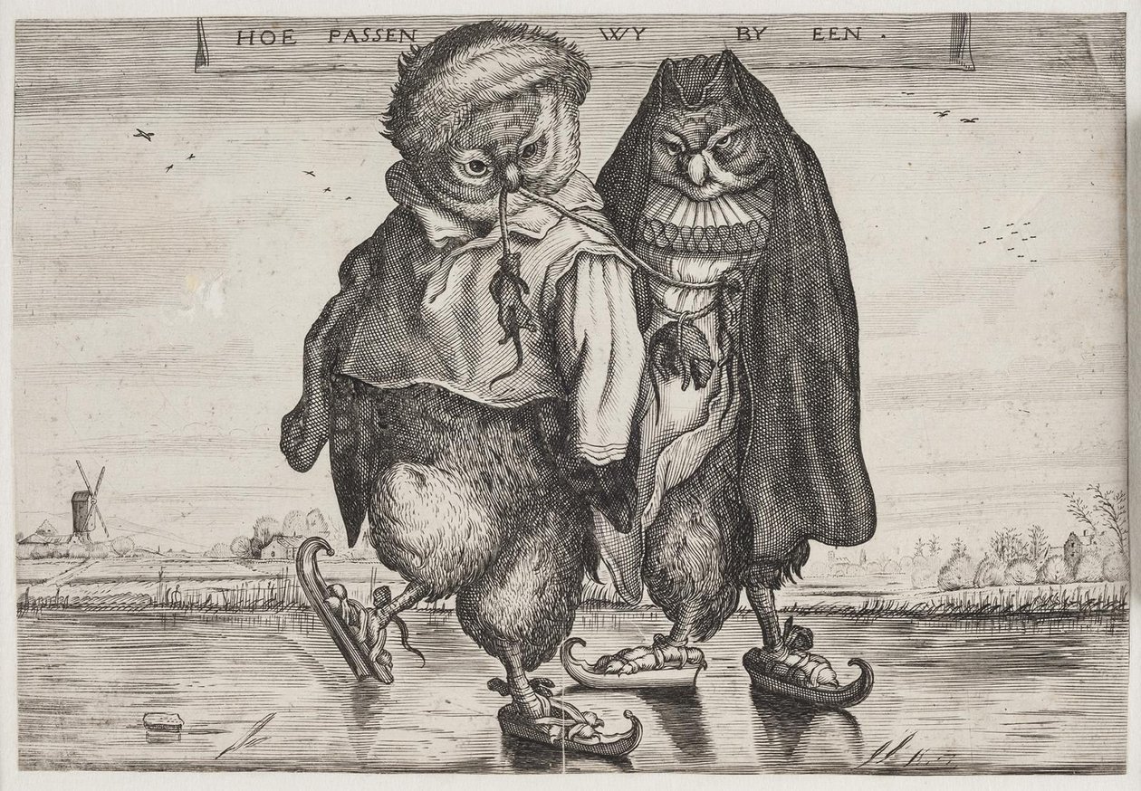 Two Dressed Owls Skating by Ubekendt