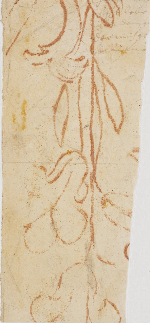 Plant Ornament (fragment) by Ubekendt KKSgb7383