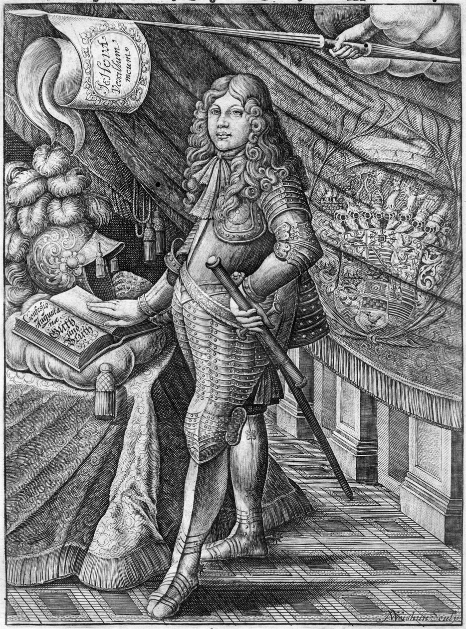 The Peasant and the Nest Robber by Unbekannt Unbekannt