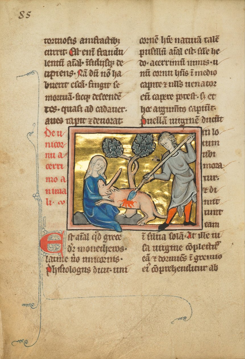 A Unicorn with its Head in the Lap of a Maiden by Unbekannt Unbekannt
