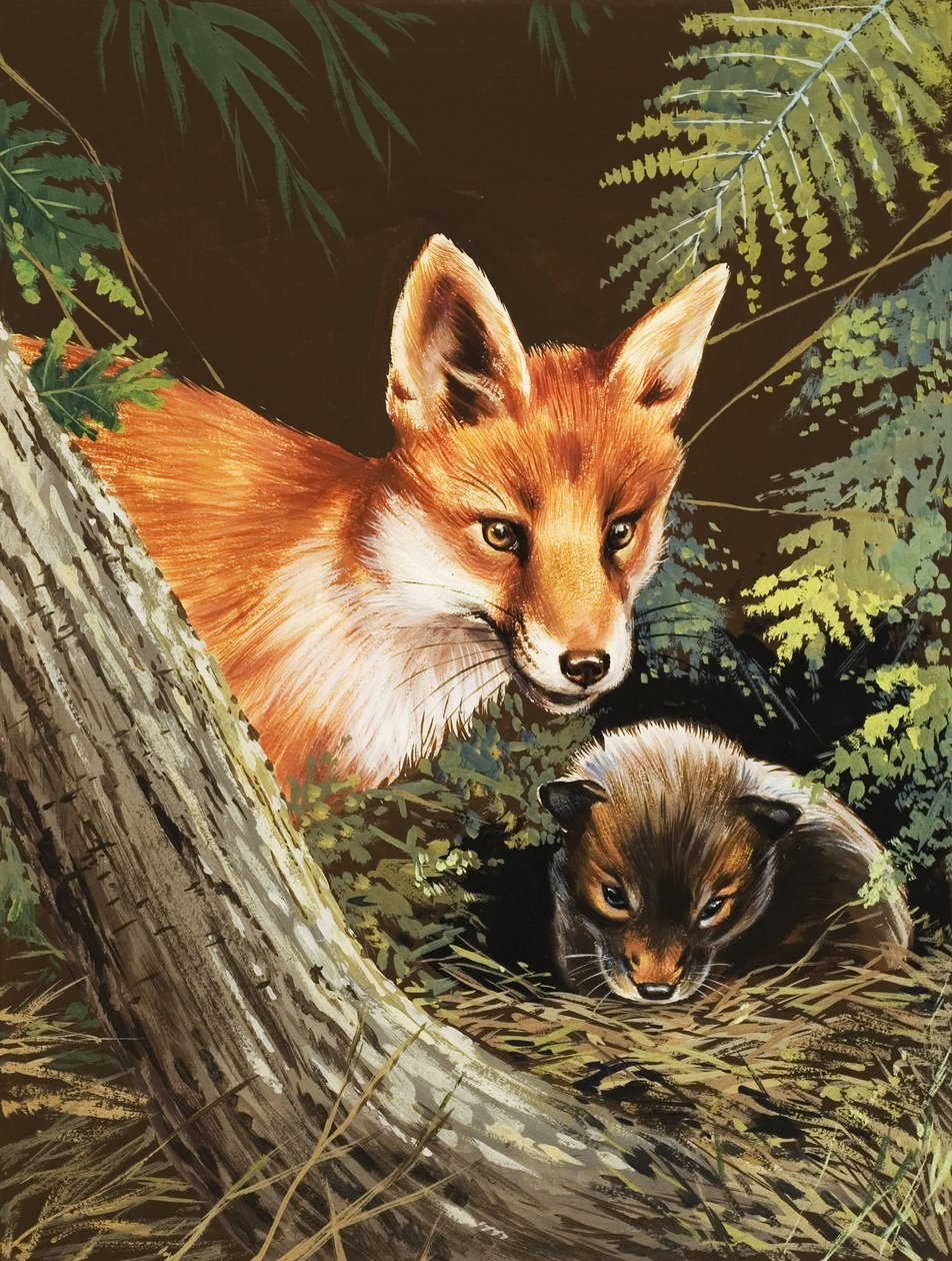 Fox and fox cub by Unbekannt Unbekannt