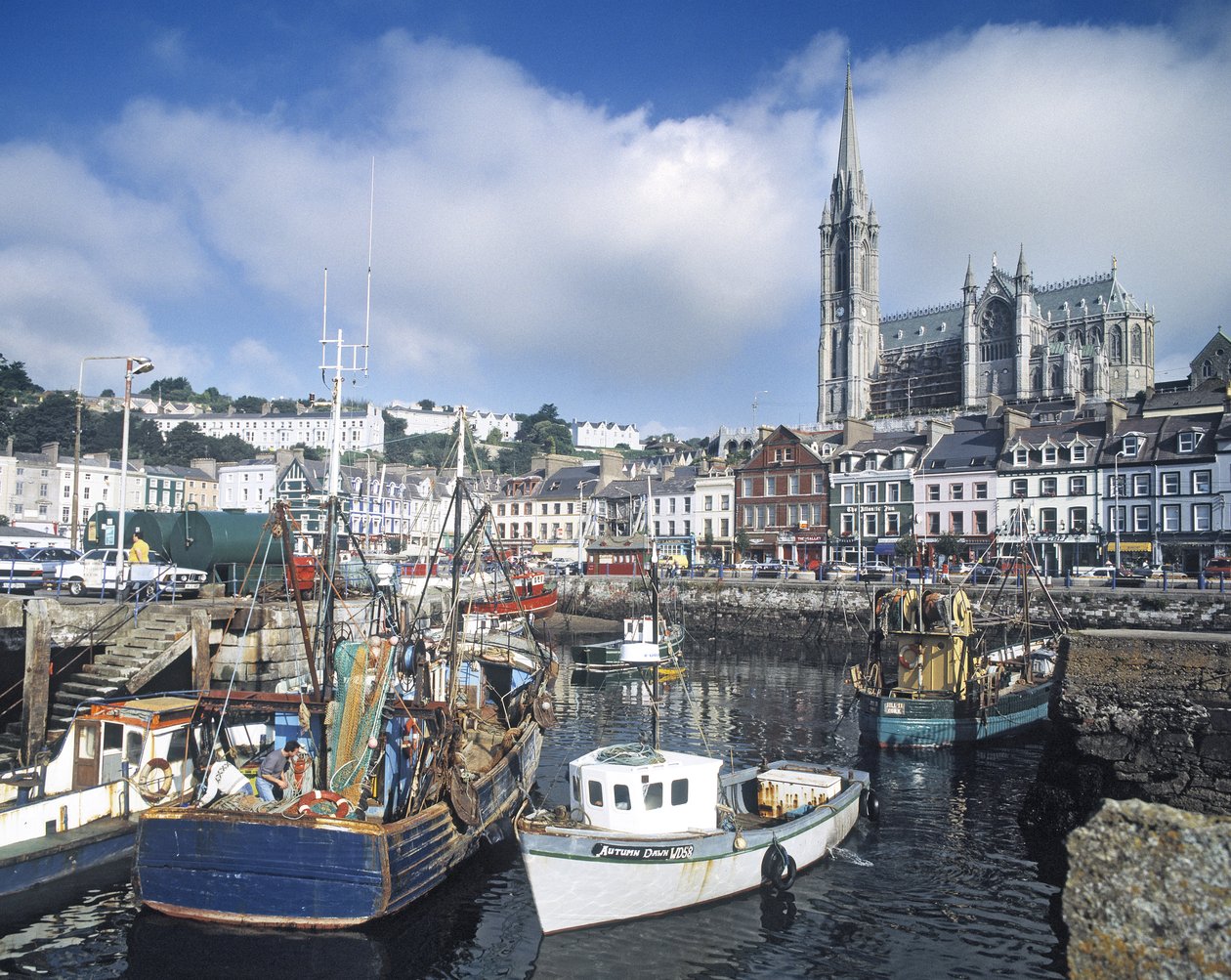 View of the Harbour with St. Coleman
