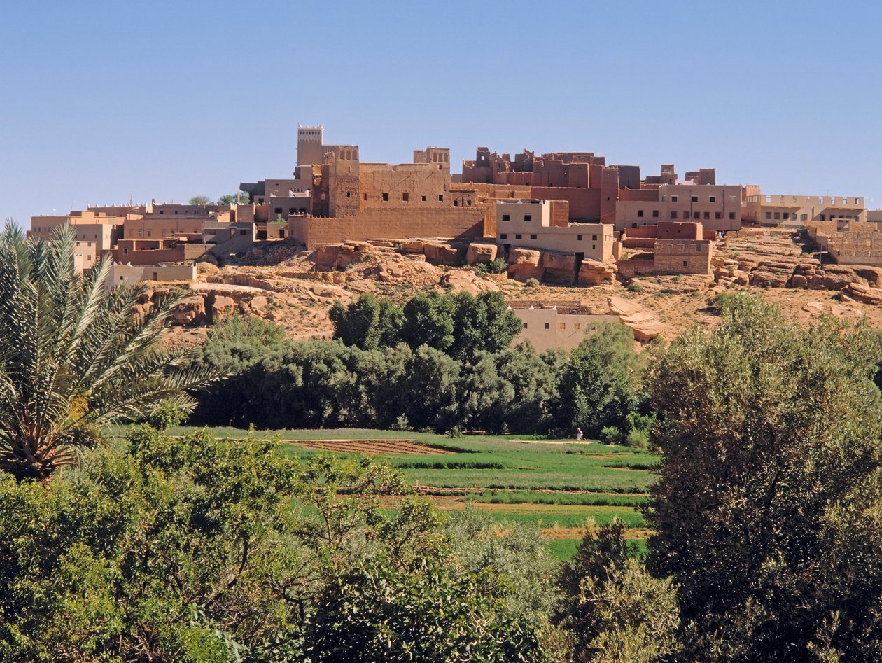View of the town by Unbekannt Unbekannt