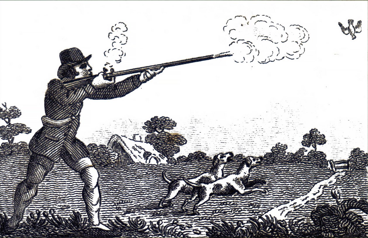 A man shooting partridge by Unbekannt