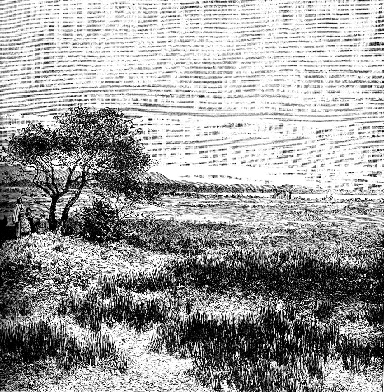 Agha Valley, Central Pampa, Argentina, 1895 by Unbekannt