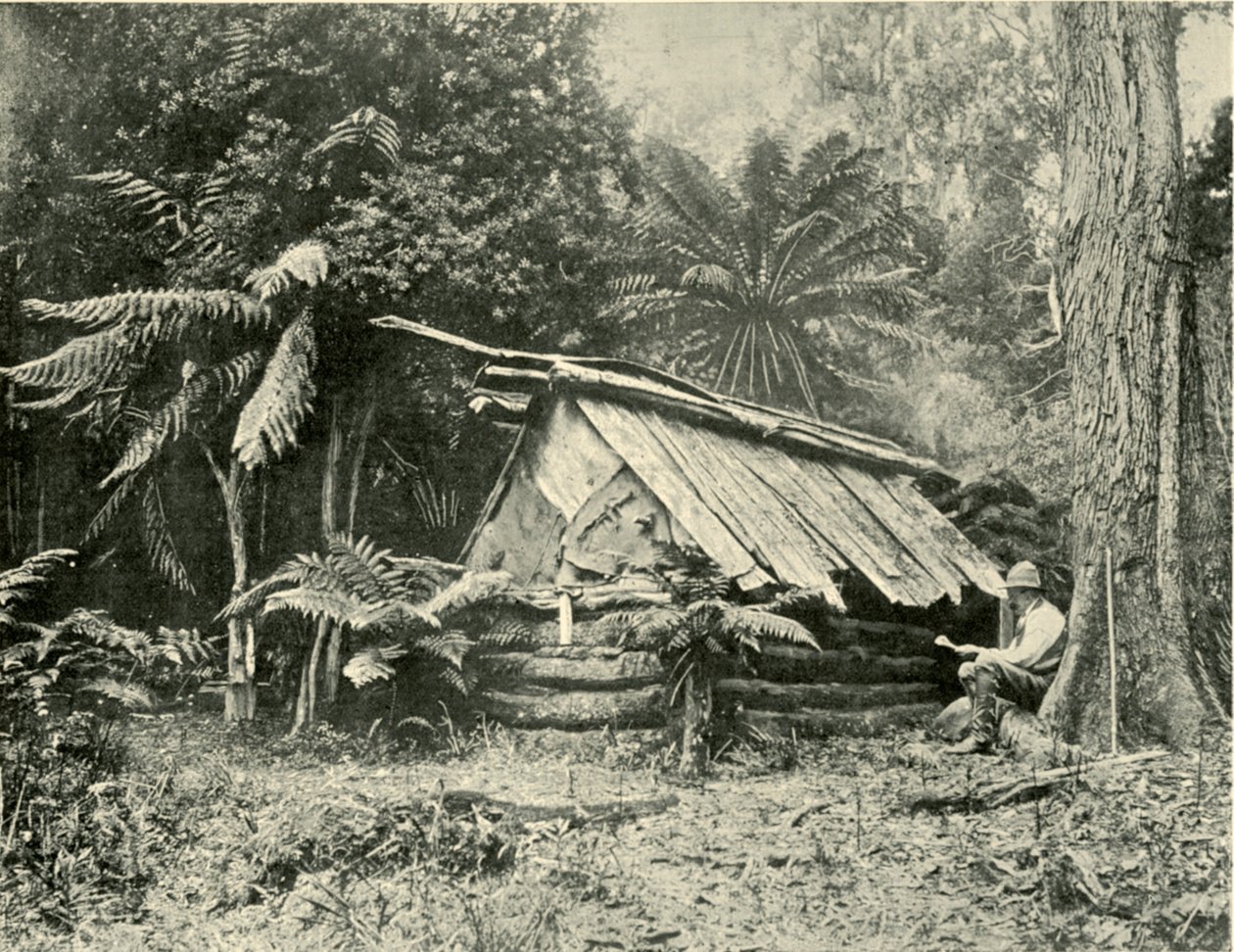 Bush Hut, Dandenong Ranges, Victoria, 1901 by Unbekannt