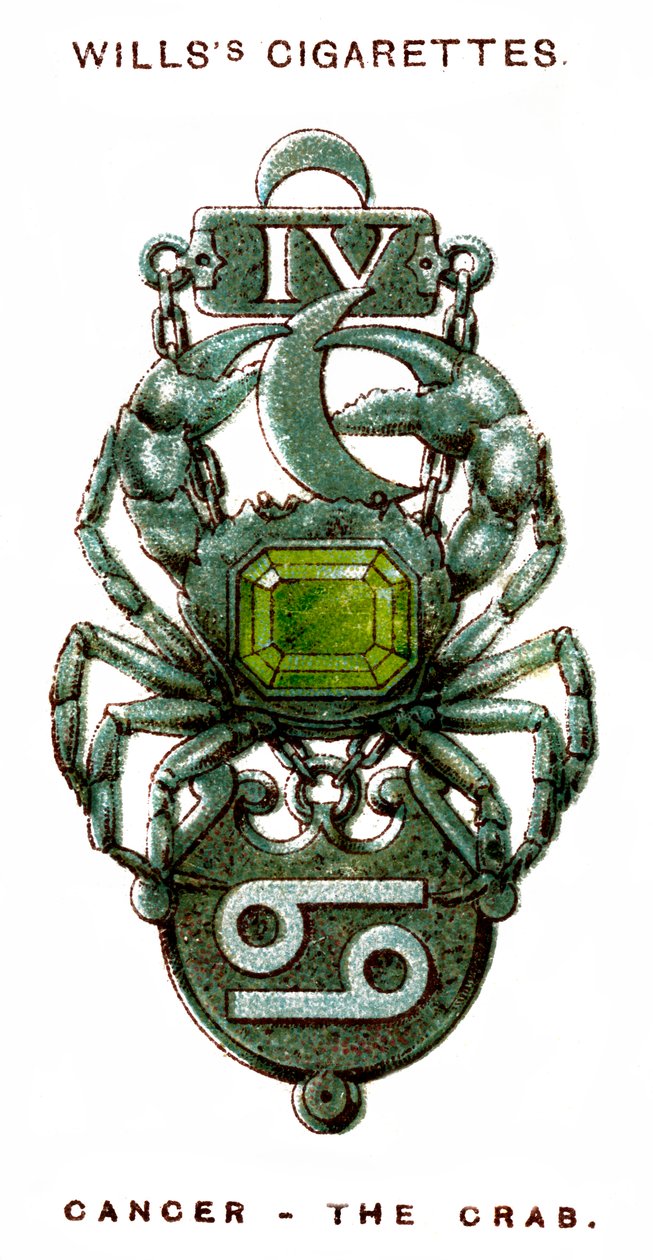 Cancer, The Crab by Unbekannt