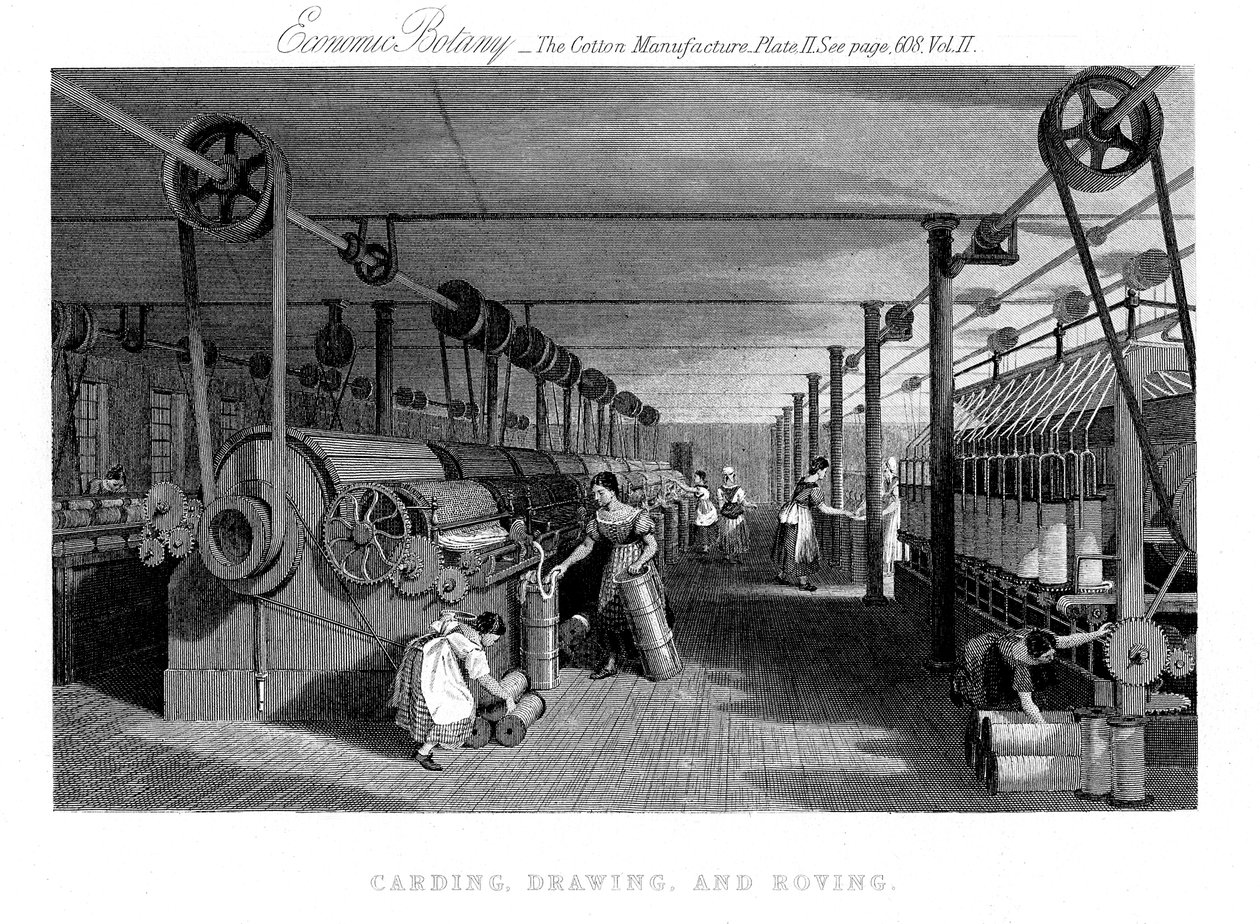 Carding, Drawing and Roving Cotton by Unbekannt